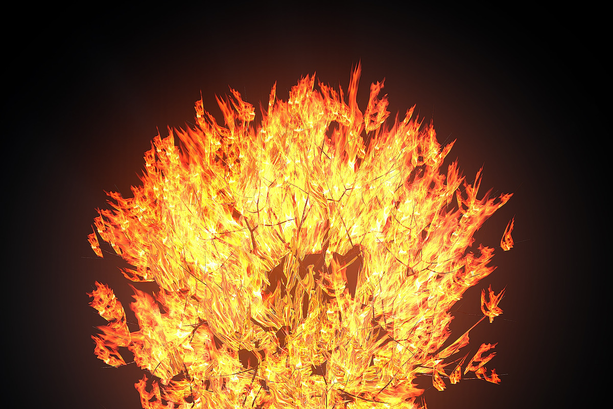 Burning bush, an Environmental 3D Model by AndrewWhite (Photo 8 of 9)