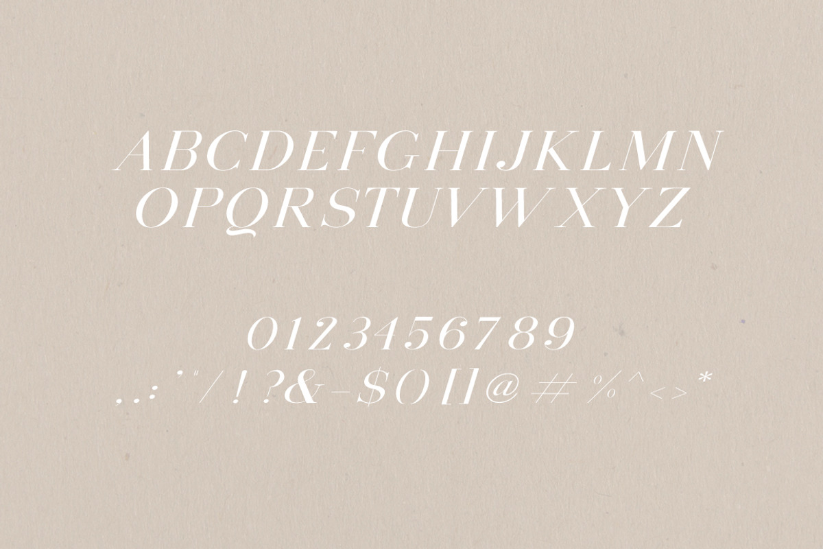 Montauk | Serif + Bonus Vectors preview 2