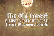 The Old Forest, a Serif Font by Brittney Murphy Design (Thumbnail 1 of 3)