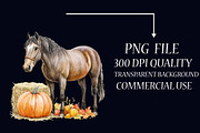 Autumn Brown Horse Clipart, an Illustration by Libby Wishes (Thumbnail 6 of 7)
