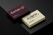 Meagre Display - 90s  Serif Family, a Serif Font by Holyline Design (Thumbnail 10 of 15)
