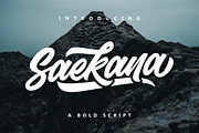 Saekana Script, a Script Font by sizimon (Thumbnail 1 of 9)