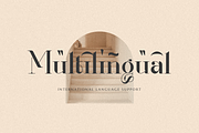 Renaisans Sans Modern Serif, a Serif Font by Creatype Studio (Thumbnail 9 of 10)
