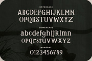 Remily - A Classy Serif Font, a Serif Font by Typefactoryco (Thumbnail 2 of 10)