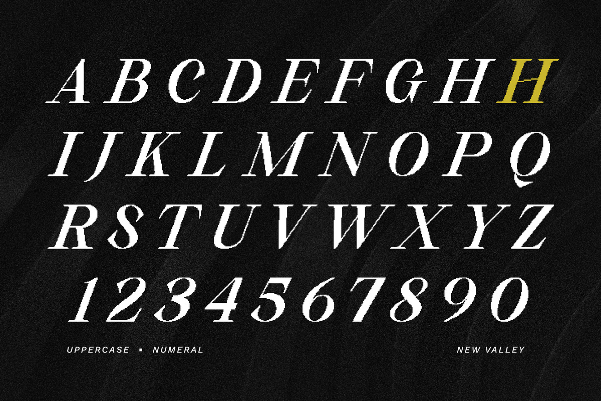 New Valley - Pixelate Italic Serif, a Serif Font by Typia Nesia (Photo 2 of 15)