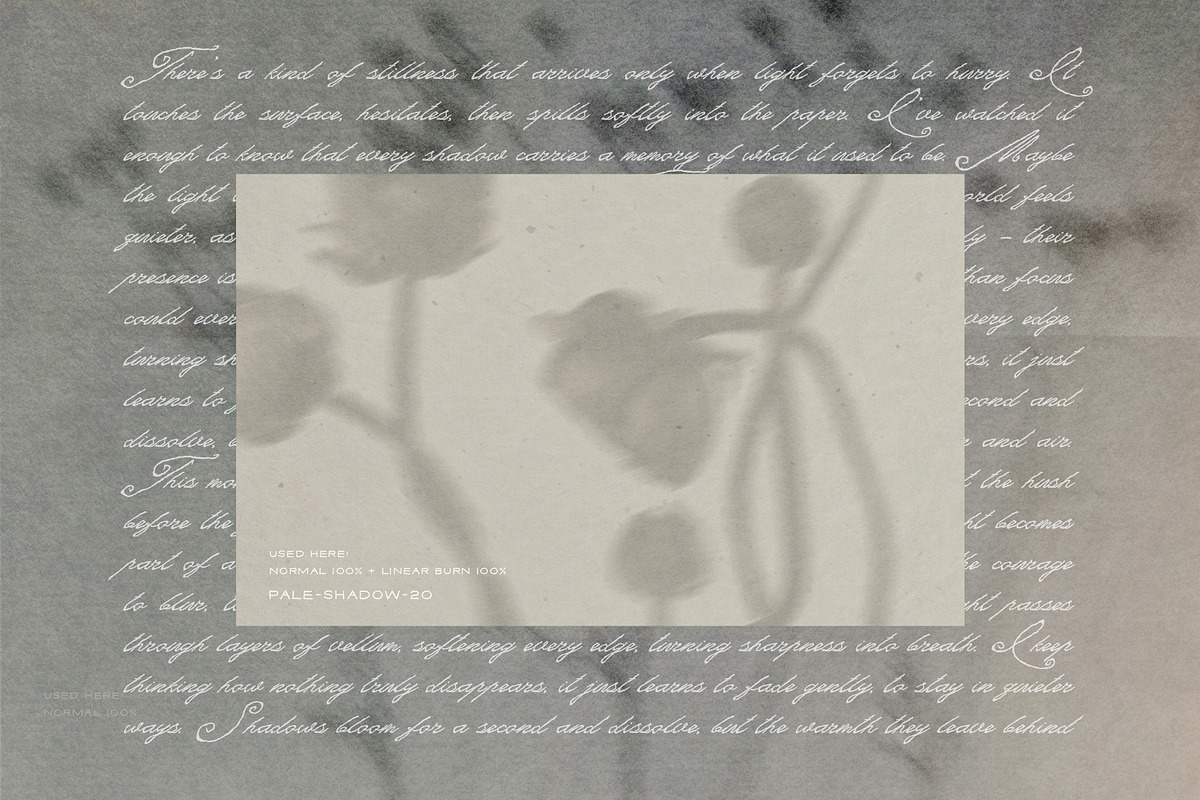 Diaphane - Blurry Floral Backgrounds, a Background Graphic by alonahaidash (Photo 15 of 16)