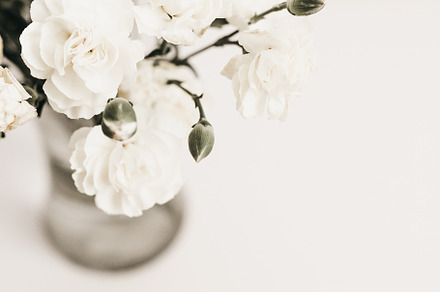 Elegant White & Neutral Floral Stock