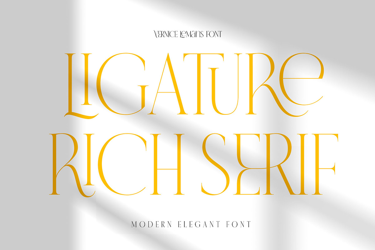 VERNICE LEMANS, a Serif Font by NYDESIGN (Photo 2 of 10)