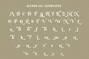 Ansilent - Modern Serif Font, a Serif Font by RagamKata (Thumbnail 10 of 10)