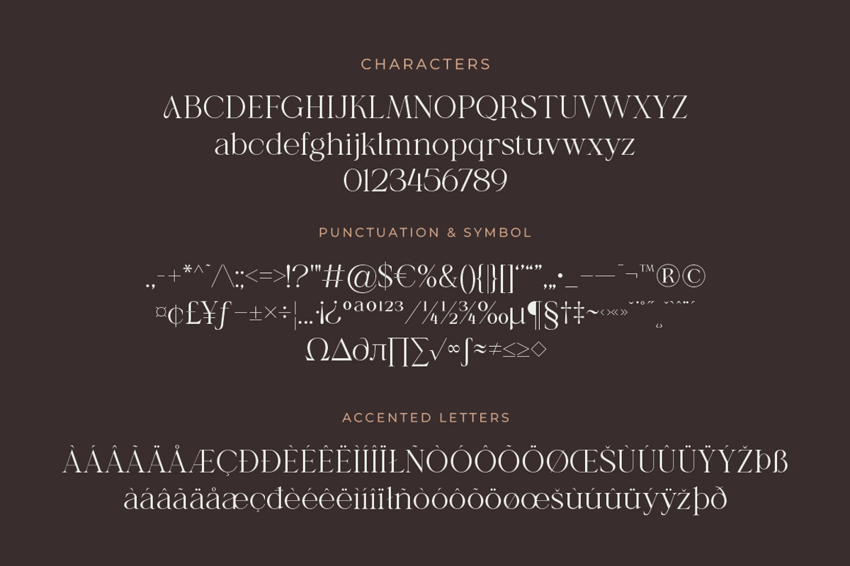 Shanell - Modern & Luxury Serif Font, a Serif Font by Typebae (Photo 12 of 12)