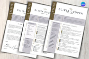 Modern Executive Resume Template, a Templates & Theme by iloveTemplate (Thumbnail 2 of 5)