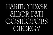 Quelia - Organic Display Font, a Serif Font by Piotr Łapa (Thumbnail 7 of 12)