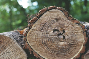 Wood Stack