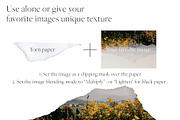 High Resolution Paper Tear Textures, a Texture Graphic by Touch and Form (Thumbnail 2 of 7)