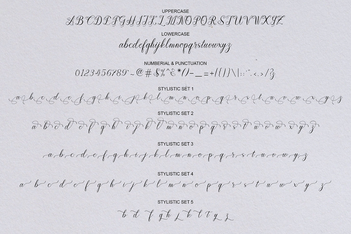 Canden Script, a Script Font by Artic Type (Photo 5 of 6)