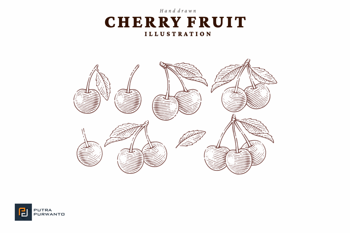 Hand drawn Cherry Illustration, a Food Illustration by putra_purwanto (Photo 2 of 3)