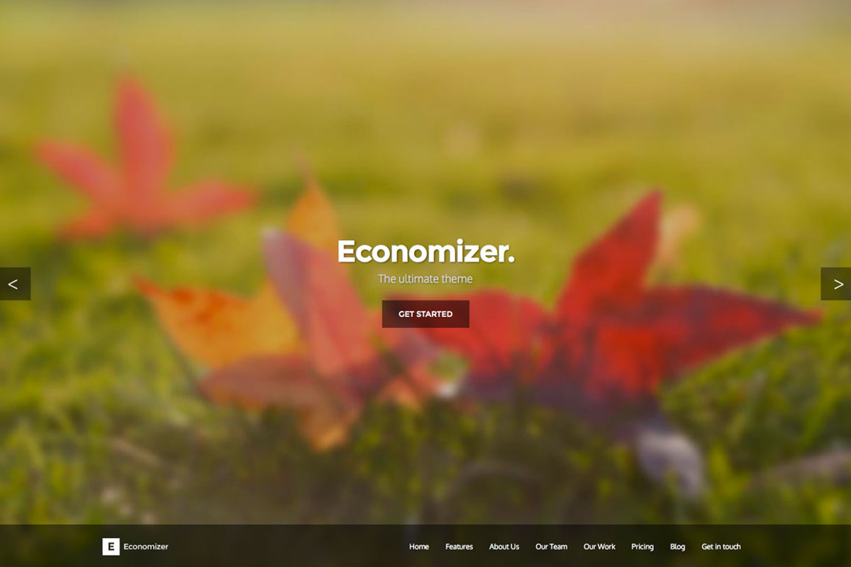 Economizer HTML5/CSS3 One Page Theme, a Bootstrap Template by Annyong