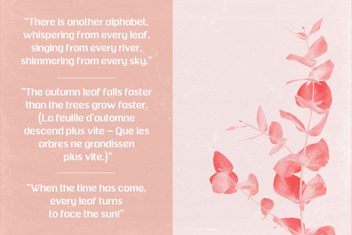 QUILLA, a Serif Font by Bagerich Type Foundry (Photo 3 of 7)