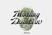 Reinhart Script, a Script Font by Damelev (Thumbnail 8 of 9)