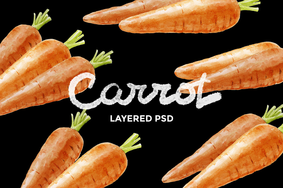 Carrot watercolor illustrations, a Food Illustration by wedraw (Photo 2 of 3)