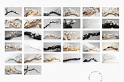 Whispering Floral Branch Aesthetics, a Nature Photo by Lumeno (Thumbnail 2 of 4)