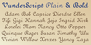 VunderScript, a Script Font by Ingrimayne Type (Thumbnail 6 of 9)