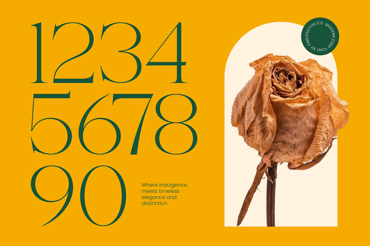 Cednight High-Contrast Modern Serif, a Serif Font by timelesstype.co (Photo 9 of 10)