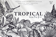 Tropical nature vector set, an Animal Illustration by Molly art (Thumbnail 1 of 15)