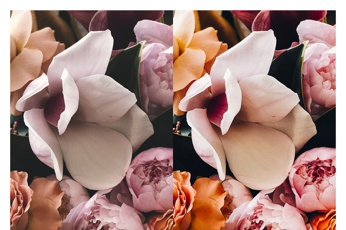 Kodak Gold Bundle Lightroom Presets, a Preset Add-On by Daily Studio (Photo 18 of 19)