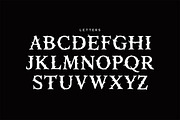 Thorn Typeface, a Serif Font by Tugcu Design Co. (Thumbnail 2 of 3)