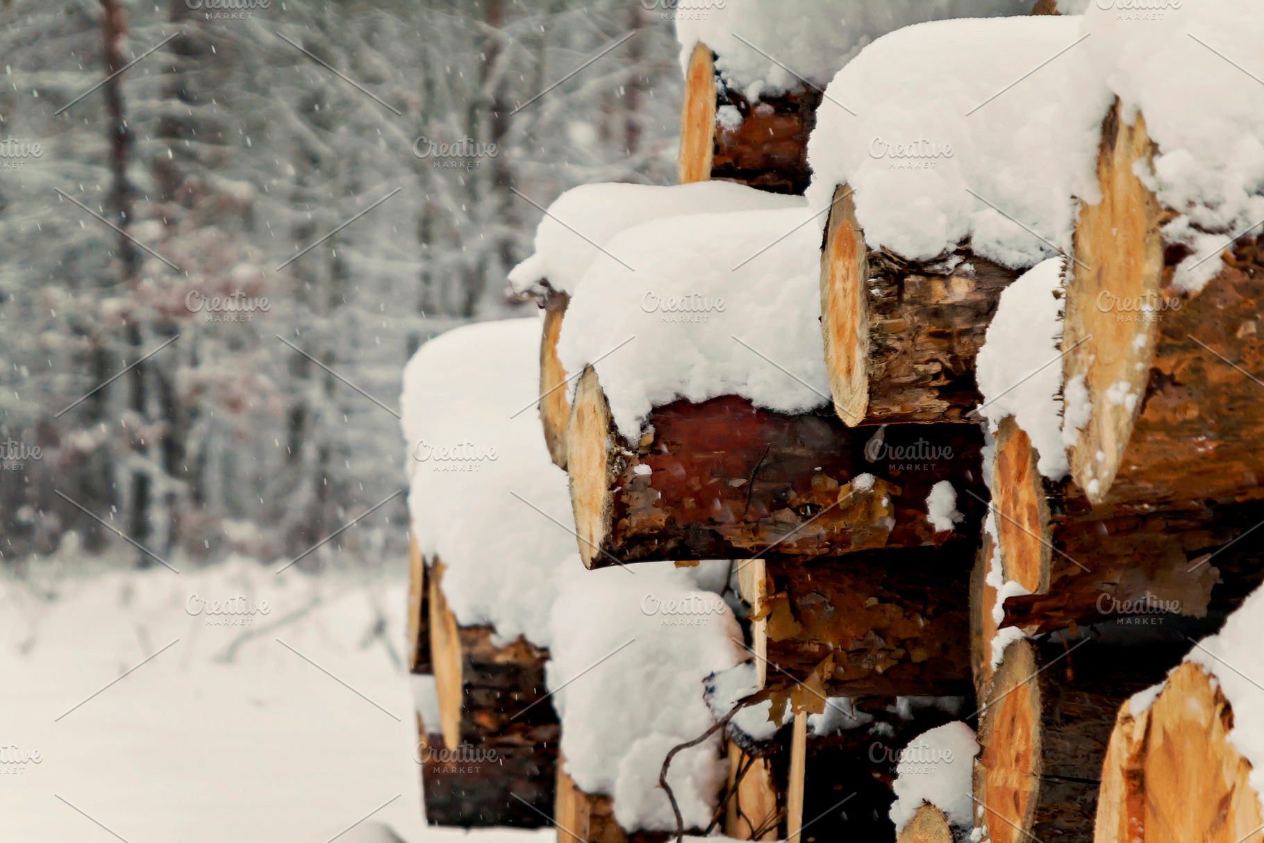 logs stacked under the snow in the forest, a Nature Photo by TanaCh