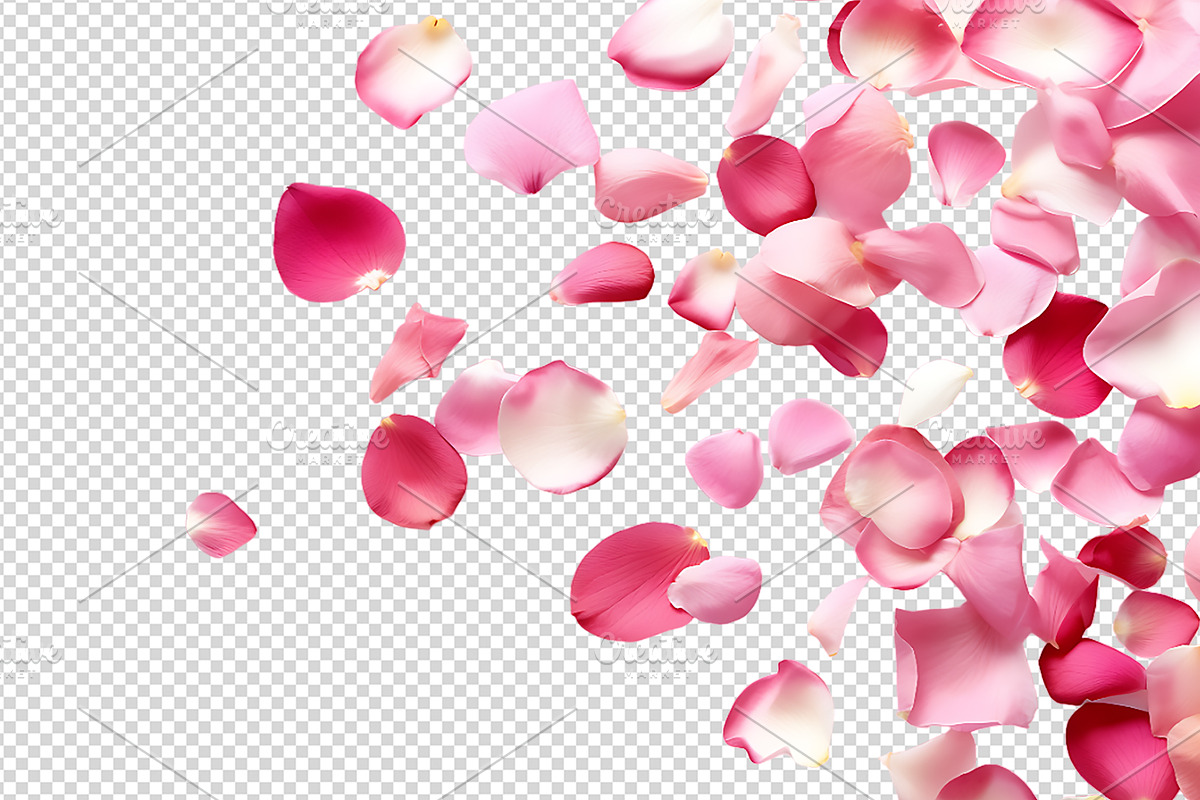 Flower petals transparent png, a Nature Photo by Shahjahangdb1 (Photo 2 of 10)