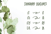 Eucalyptus Spearmint Monoline Script, a Script Font by Jordyn Alison Designs (Thumbnail 6 of 8)
