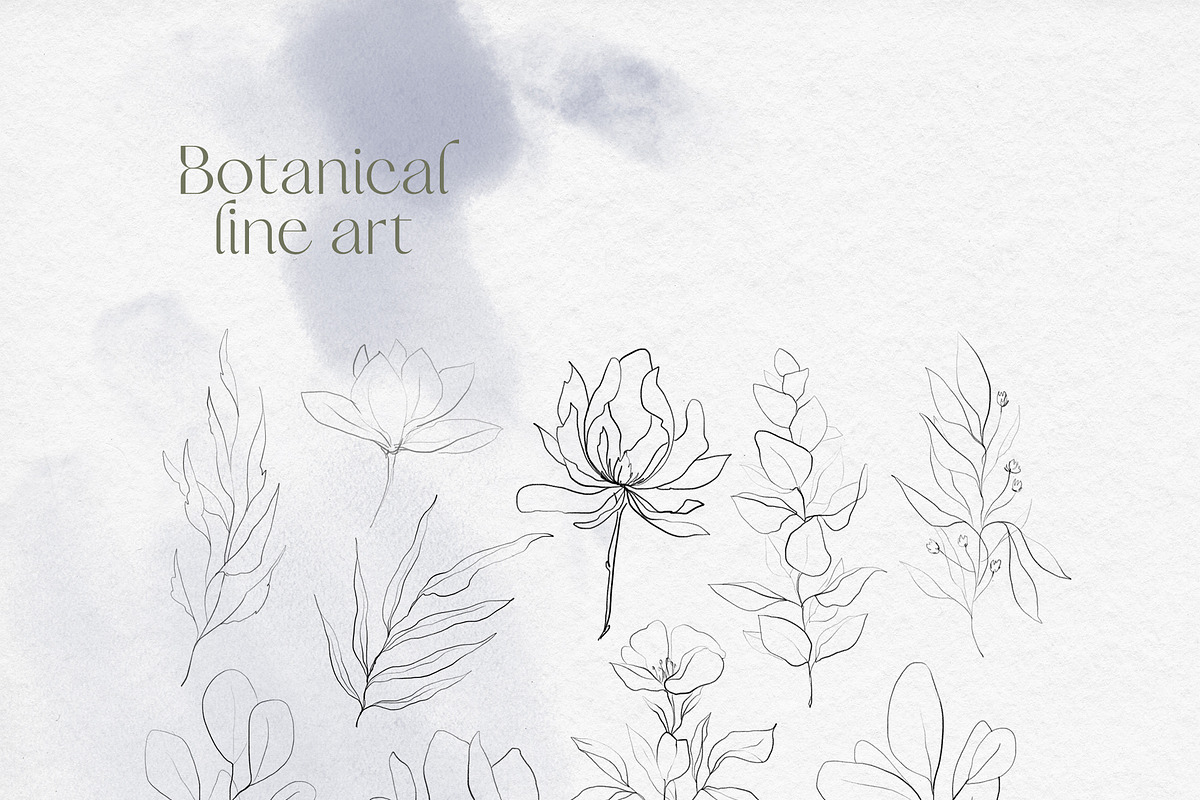 Botanical Line Art Collection, an Object Illustration by Colden Blue (Photo 4 of 10)