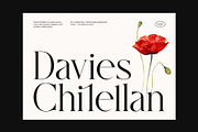 Galista Elegant Serif Font, a Serif Font by Graphicxell (Thumbnail 2 of 8)