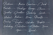 Scoottburg - Modern Calligraphy, a Script Font by Anxiety Studio (Thumbnail 14 of 17)