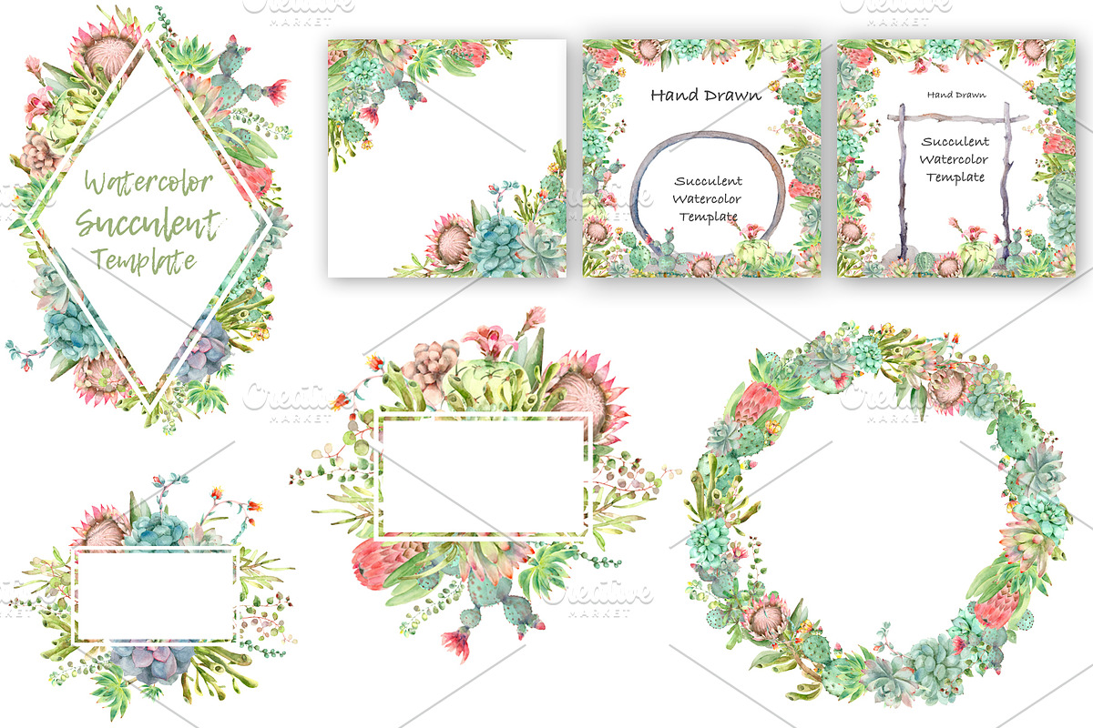 Succulent and Cactus collection, an Illustration by IvanFet (Photo 8 of 10)