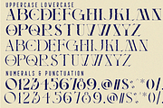 Allowing Freedom - Ligature Font, a Serif Font by 177Studio (Thumbnail 9 of 9)