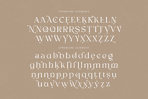 Ligakare Modern Serif