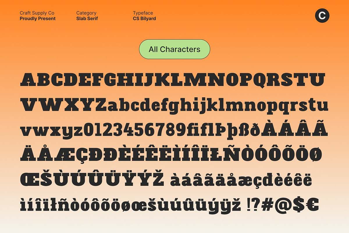 CS Bilyard – Slab Serif Display, a Slab Serif Font by Craft Supply Co. (Photo 8 of 8)