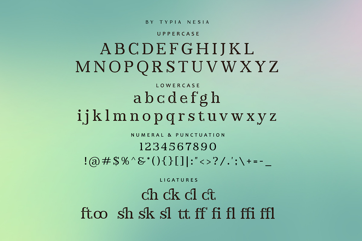 Fast and Cure, a Serif Font by Typia Nesia (Photo 9 of 9)