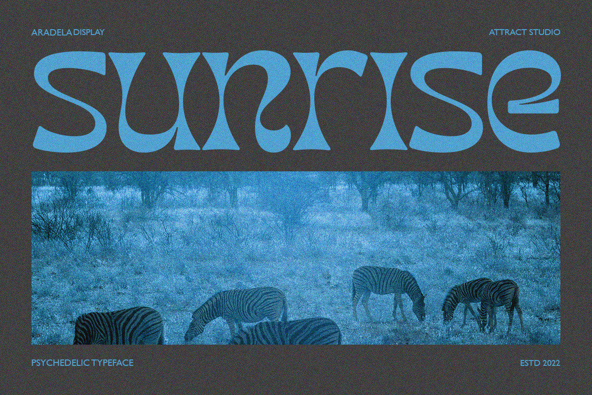 Aradela Display, a Serif Font by Attract Studio (Photo 12 of 13)