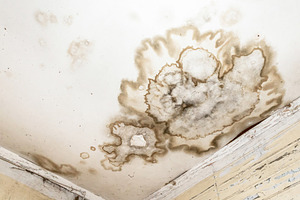 Mold spots on the ceiling or wall