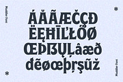 4 Fonts Combo, a Script Font by Kochev Type (Thumbnail 27 of 35)