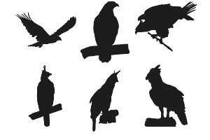 Eagle Silhouettes Set 1 Procreate