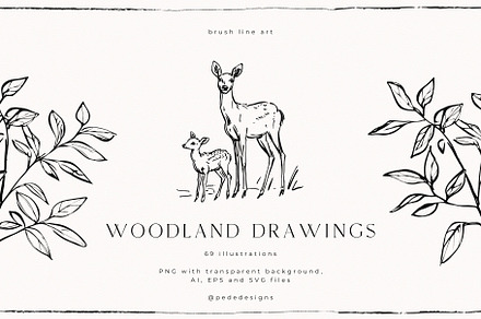 Woodland Drawings, an Animal Illustration by PeDe Designs