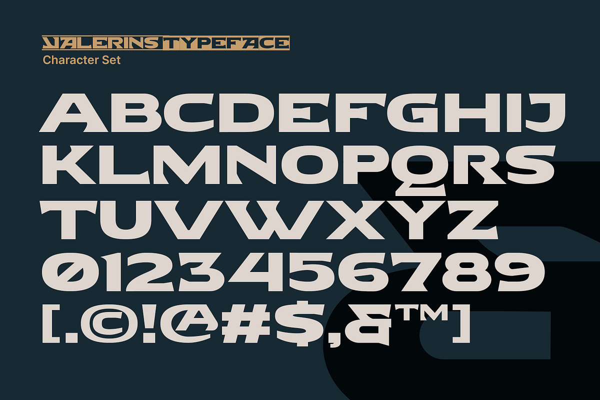 Valerins, a Symbol Font by Nathatype (Photo 7 of 15)