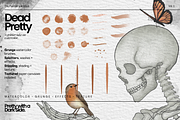 The Painter's Archive: Procreate, a Brush Add-On by Fins and Fiction (Thumbnail 5 of 9)