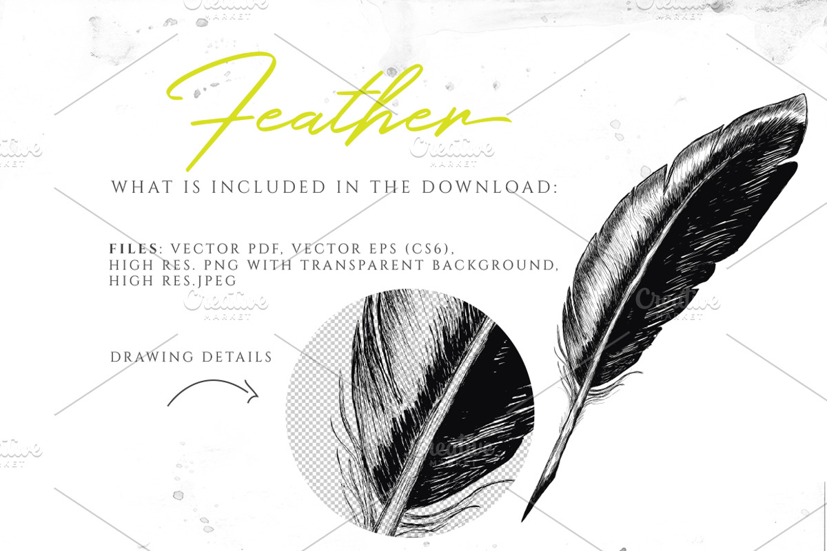 VINTAGE FEATHER, an Illustration by Friendly Label (Photo 2 of 2)