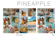 5 Mobile Lightroom, a Preset Add-On by The Red Pine (Thumbnail 5 of 5)